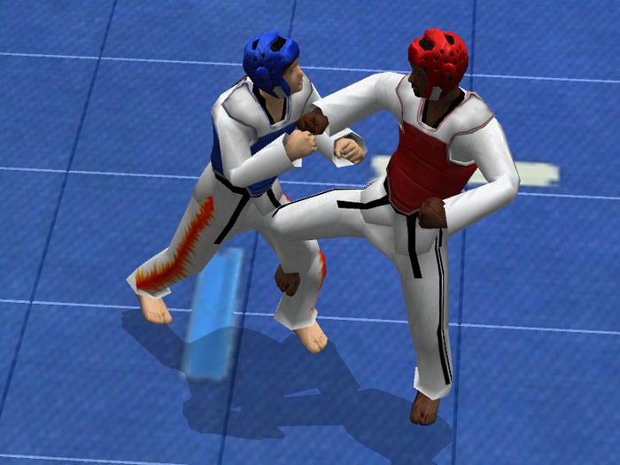 Taekwondo-Weltmeister-PC-Spiel Vollversion herunterladen